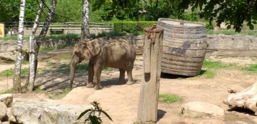 ZOO Zlín 1  