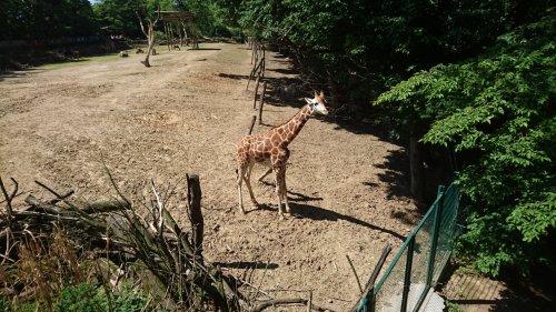 ZOO Zlín 5  