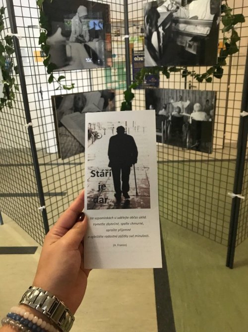 Instalace a vernisáž výstavy 18  