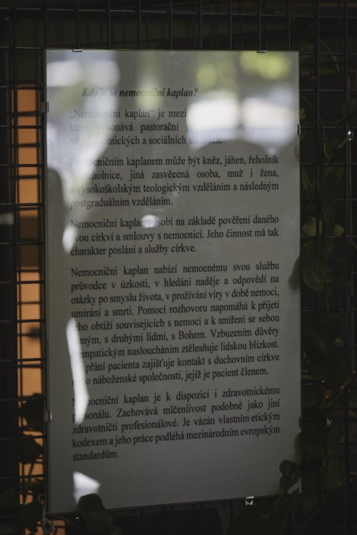 Instalace a vernisáž výstavy 9  