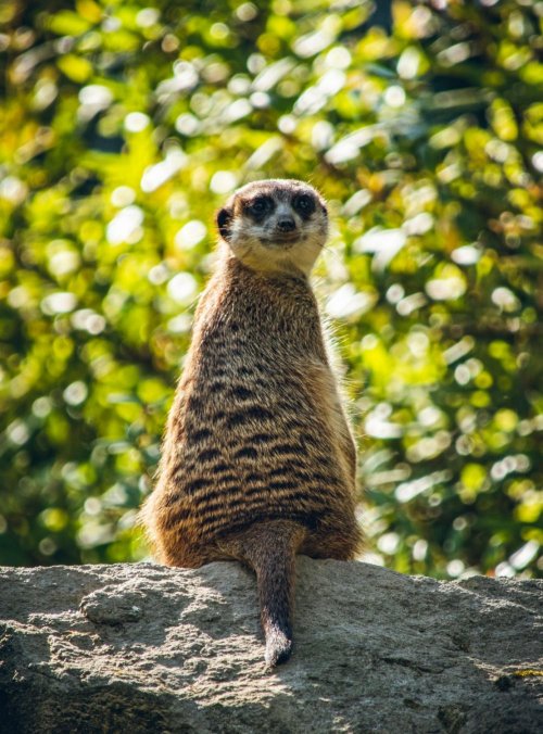 ZOO Zlín - Lešná 6  