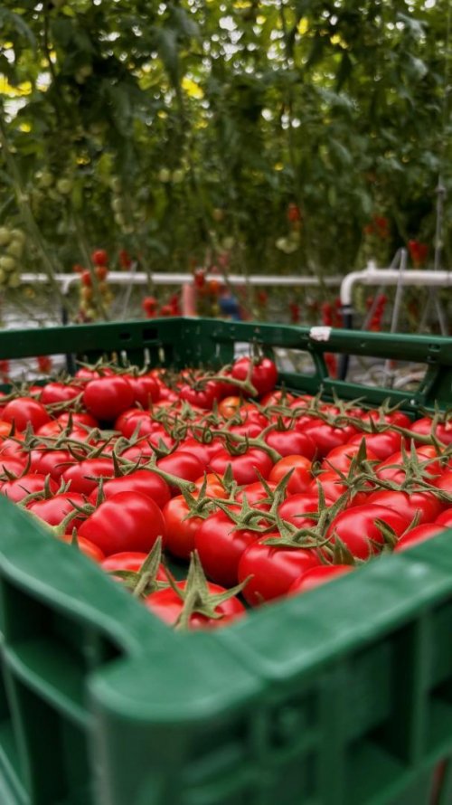 Exkurze na Farmě Bezdínek 2  